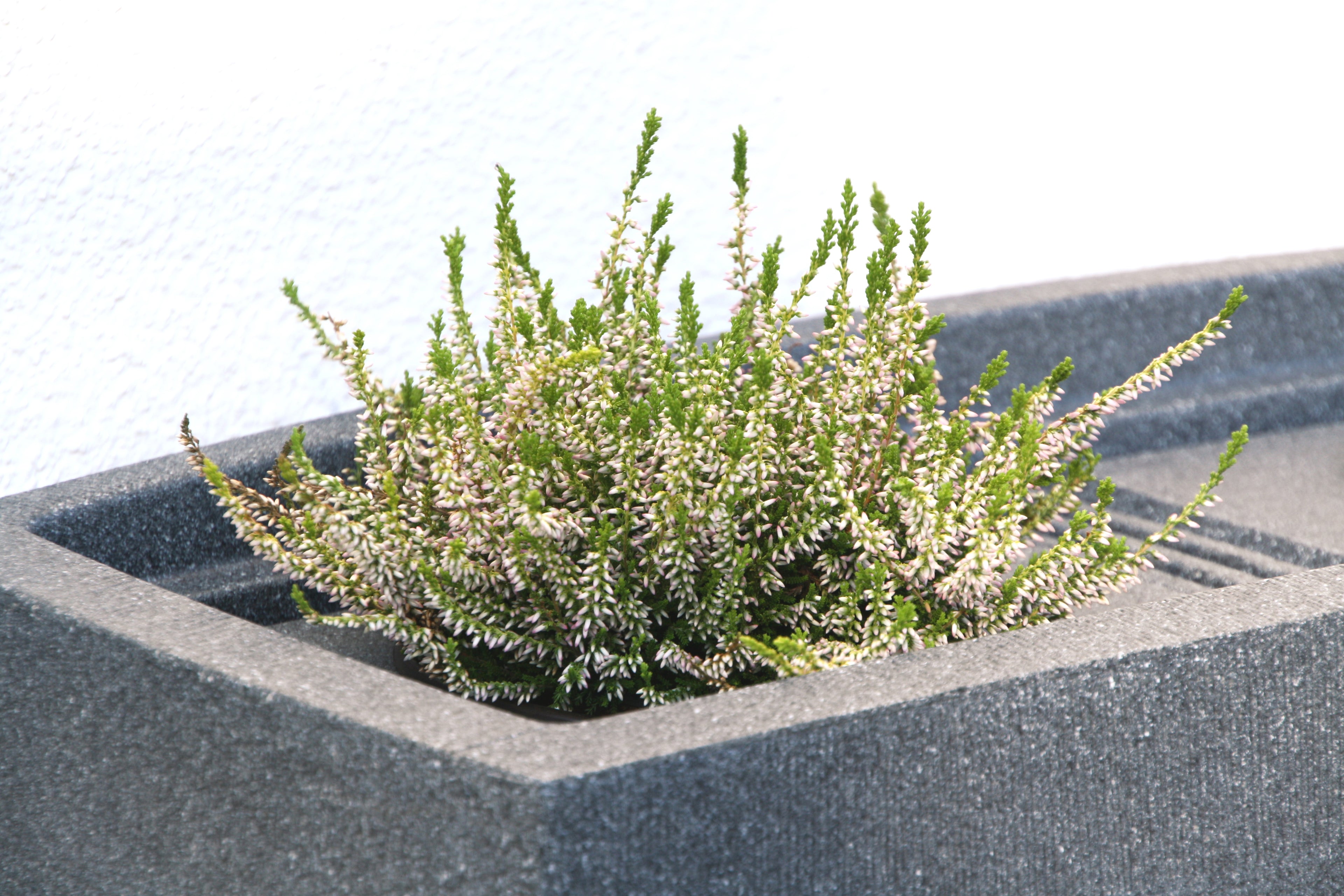 Noblesse 275 Litre Slim Water Butt with Optional Planter