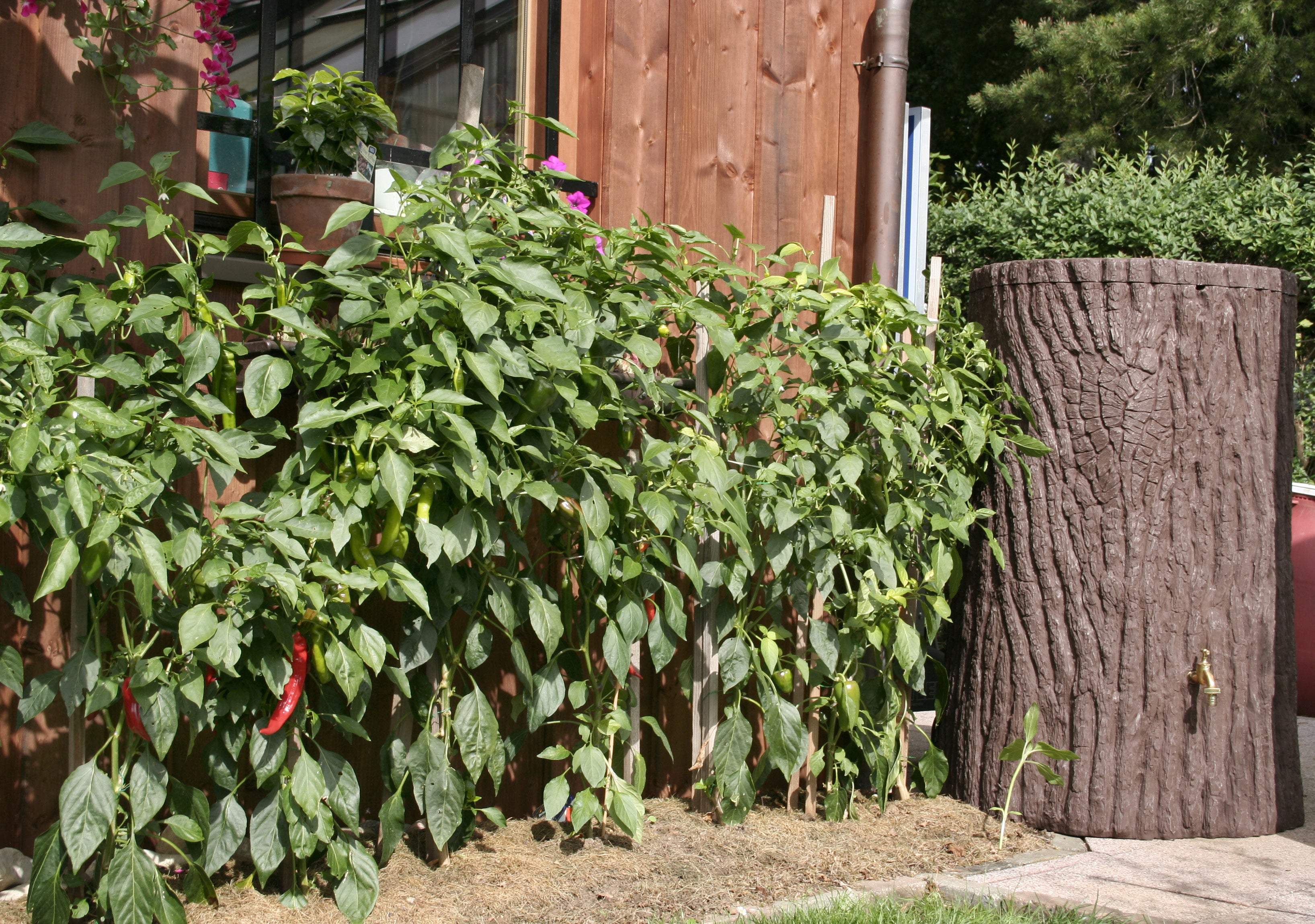Evergreen 475 Litre "Tree Stump" water Butt