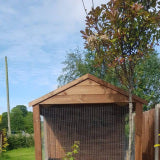 8ft x 5ft Walk-In Apex Aviary – Pressure Treated Timber & Galvanised Wire