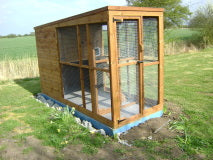 9ft x 4ft Walk-In Cattery (6ft High) – Pressure Treated Timber