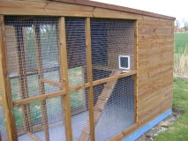 9ft x 4ft Walk-In Cattery (6ft High) – Pressure Treated Timber