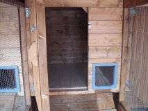 9ft x 4ft Walk-In Cattery (6ft High) – Pressure Treated Timber