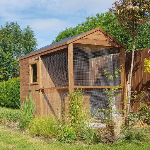 8ft x 5ft Walk-In Apex Aviary | Pressure-Treated Timber Bird Aviary