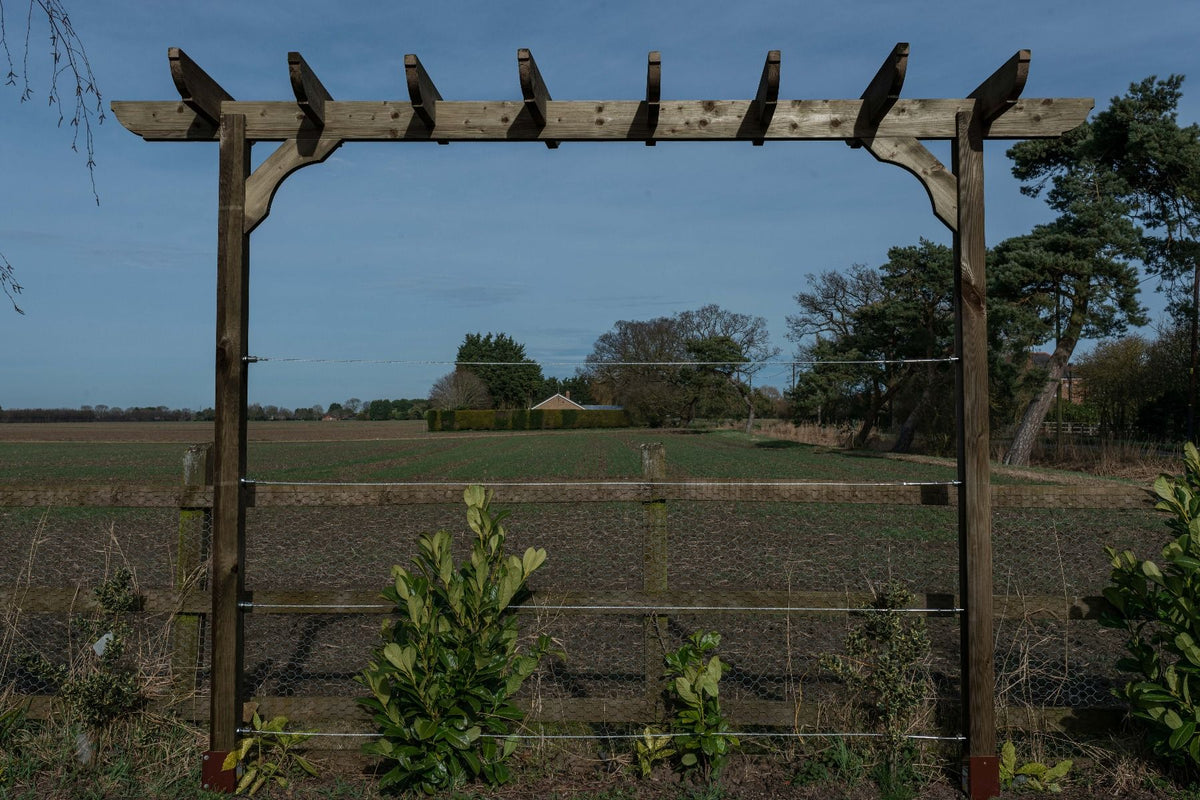 Corbel Single Beam Pergola, Plant Climbing Arbour - Sculpted brace
