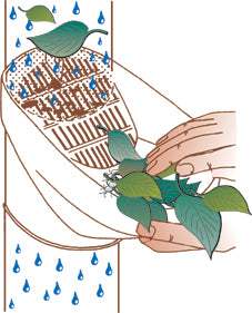 Leaf Catcher - Downpipe Filter